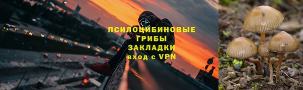 мдпв Володарск